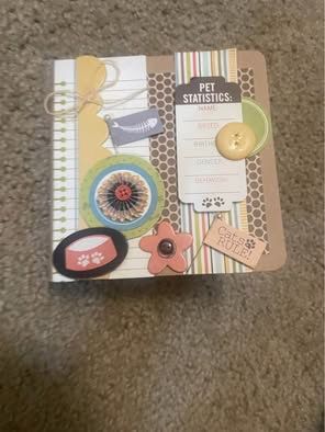 Cat mini scrapbook