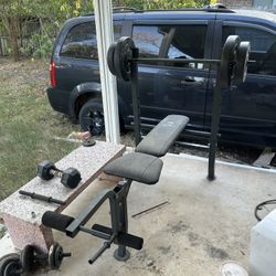 Weight Bench 