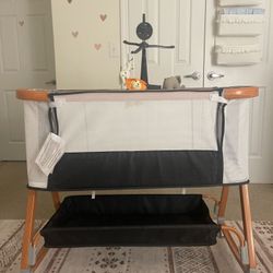 Bassinet, Swing, Rocker, And Play Mat