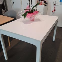 Solid Wood Dining Table (IKEA)