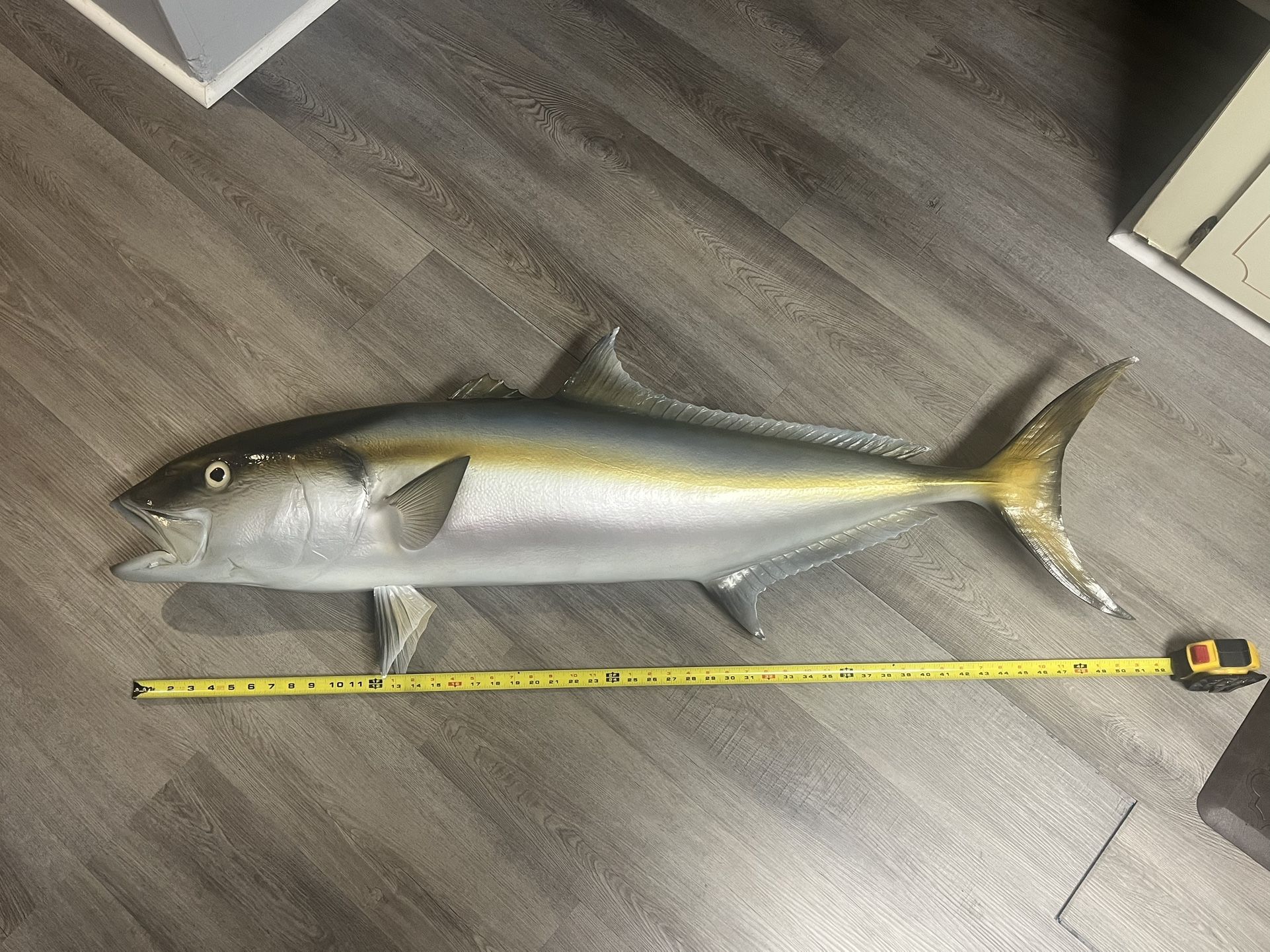 Amberjack Wall Art