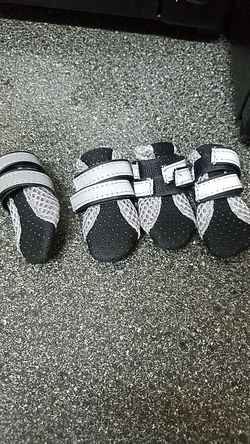 Dog booties