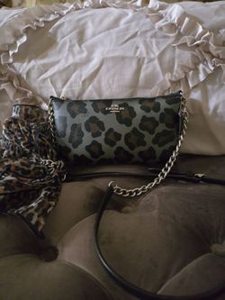 Coach Leopard Print Chain Crossbody Bag