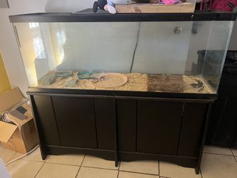 Fish Tank Or Reptile Tank