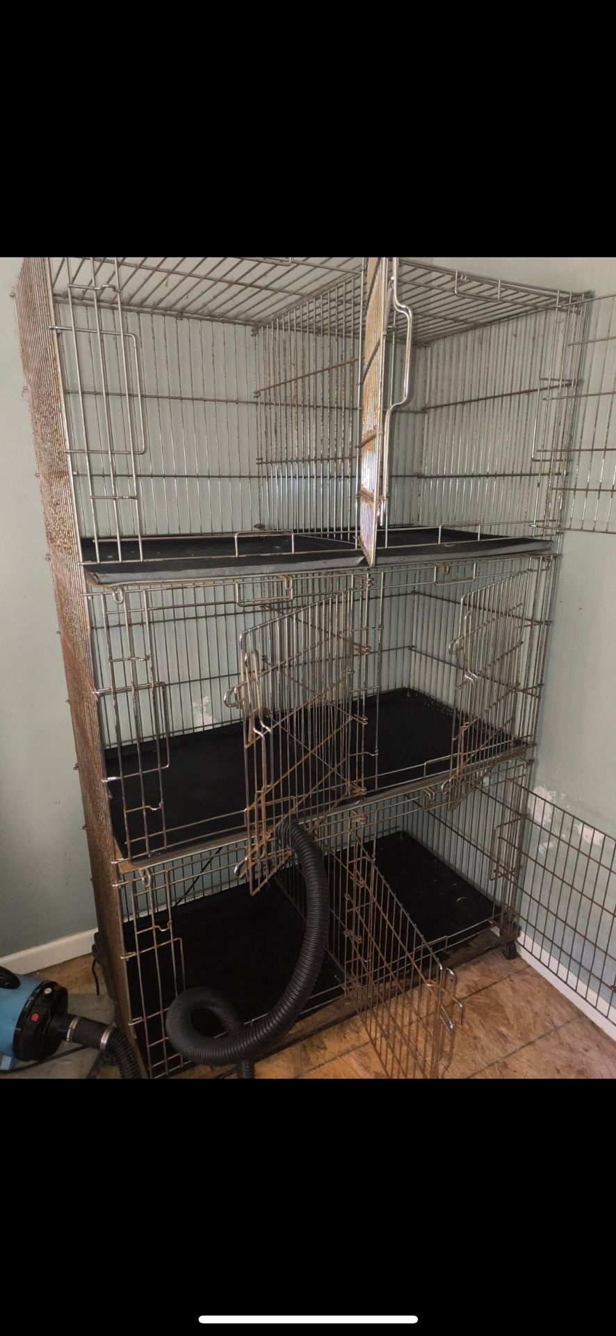 Dog Kennels