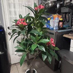 Arbol Artificial 