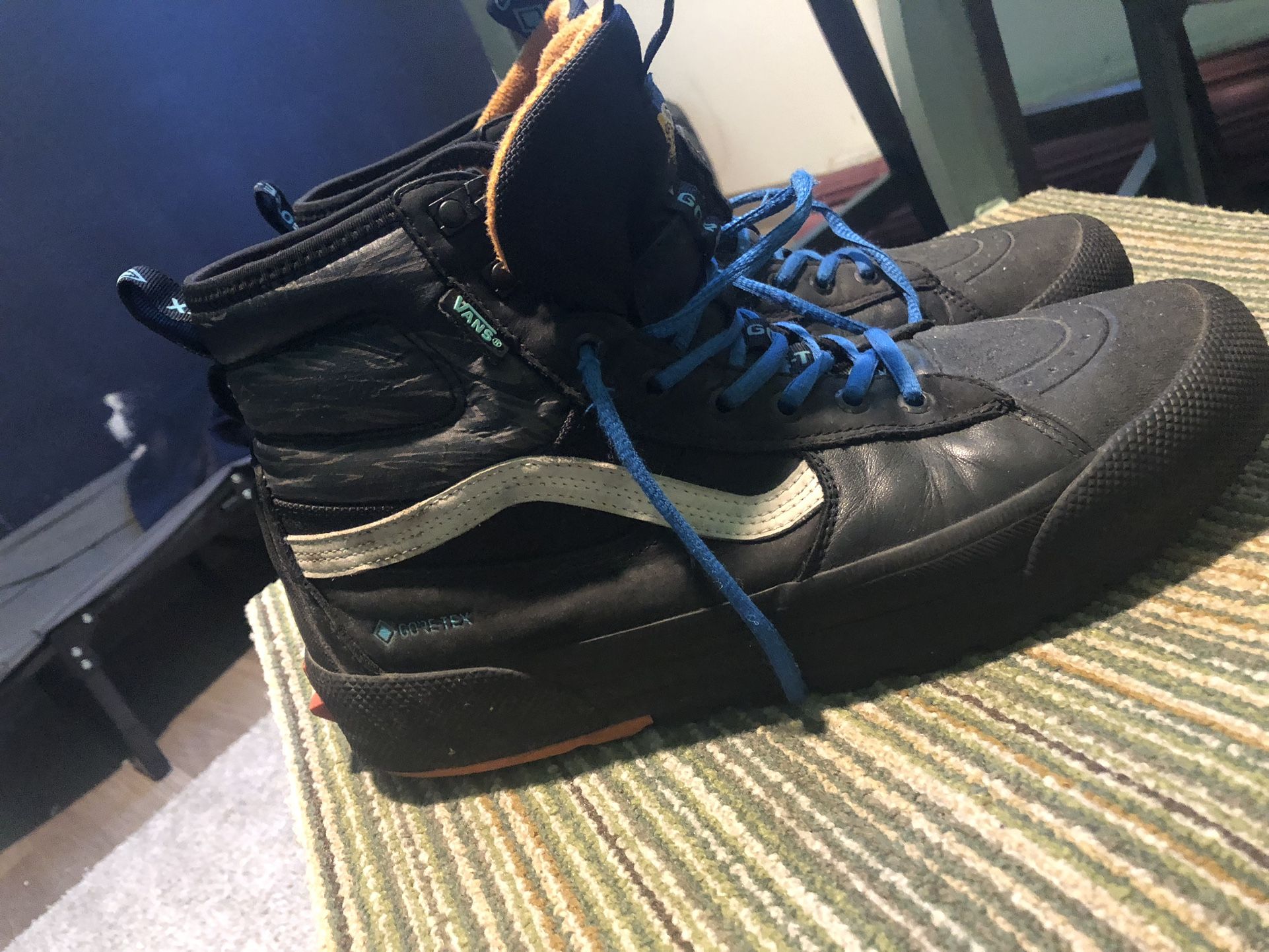 Just Came Out Vans Hiking Boots.