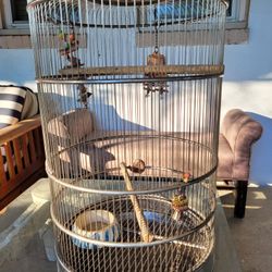 Huge Bird Cage