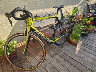 Focus Cayo Road Bike