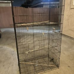 Bird Cage, Big