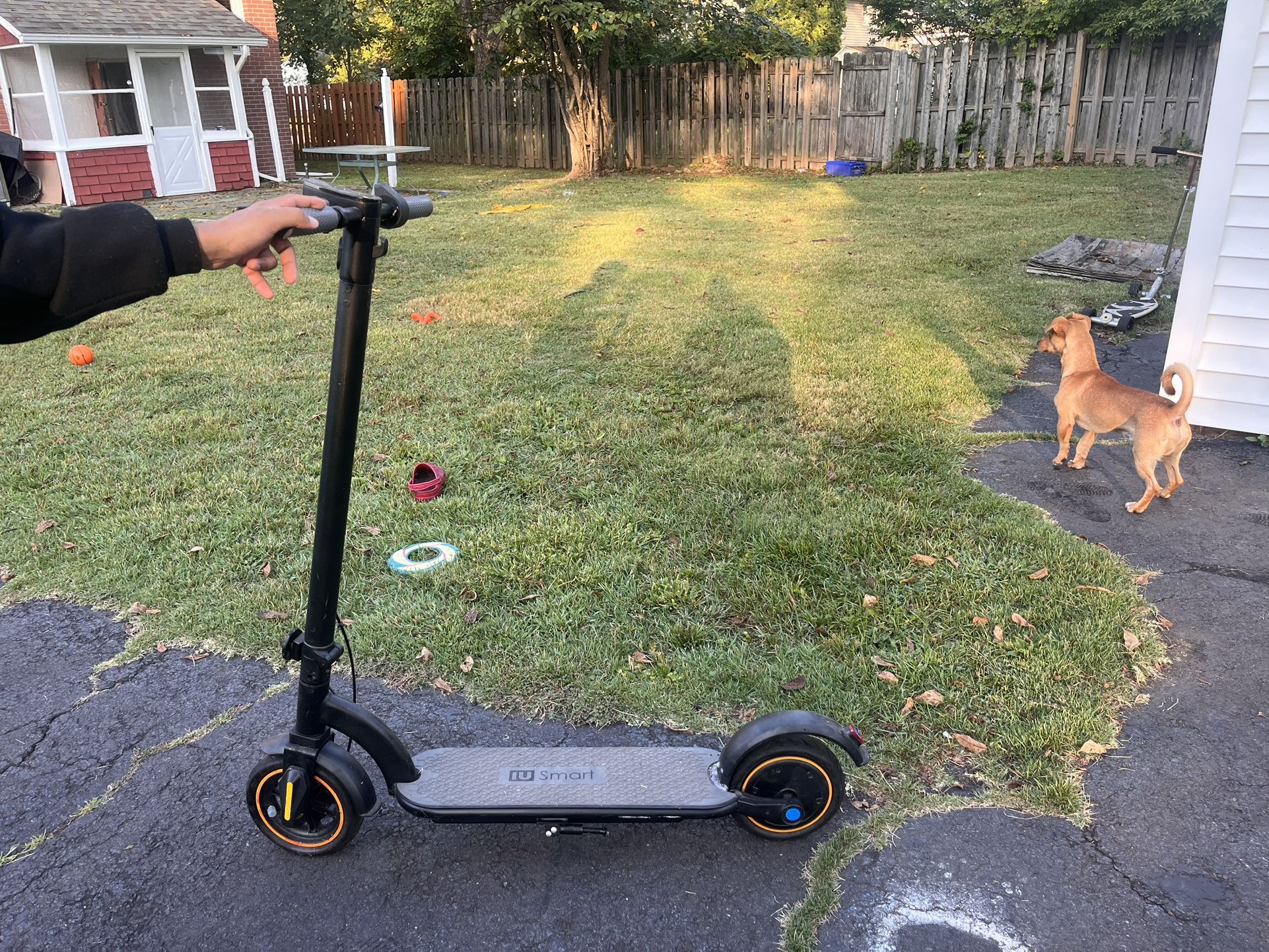 black electric scooters 