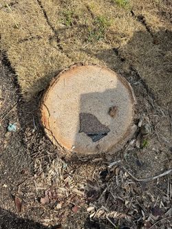 Stump Grinding 