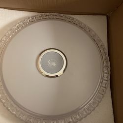 LED SHOWER SPEAKER LIGHT 