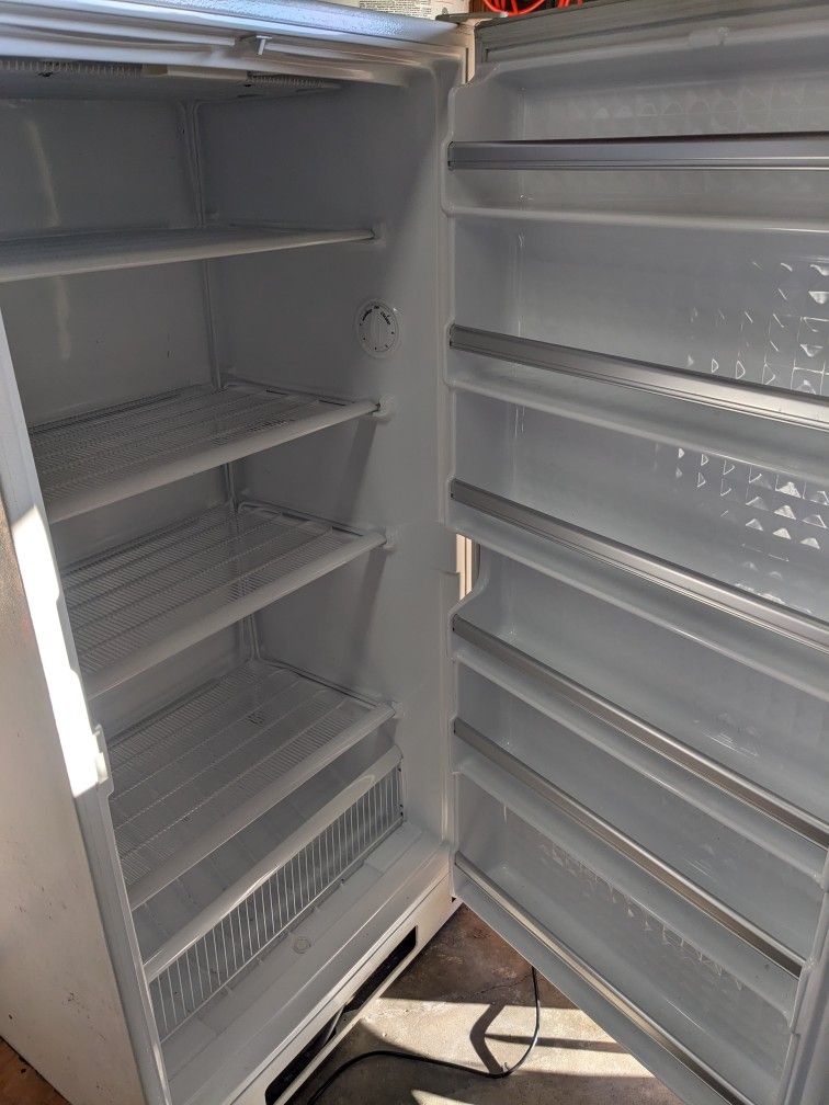 Upright Freezer 