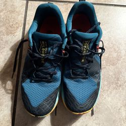 Nike Wild Horse Shoes