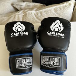 Kickboxing Muay Thai Gloves