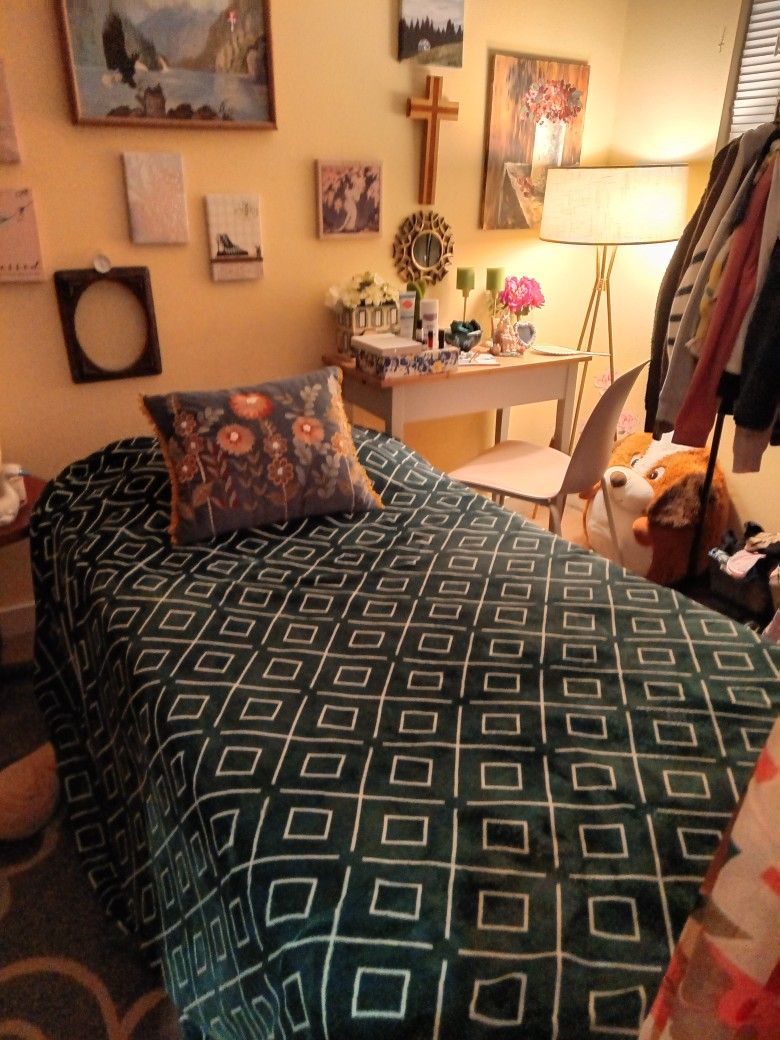 New Modern Twin Bed.