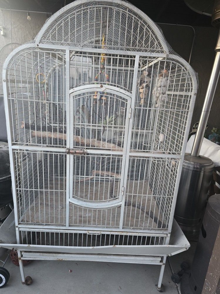 Bird Cage 