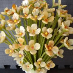           UNFADING  FLOWERS.  GIFT  FOR MARCH -8