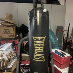 100 Lb Everlast Punching Bag and Stand 