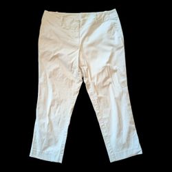 Ann Taylor Bone Stretch Midrise Capri Length Pants Women's 10