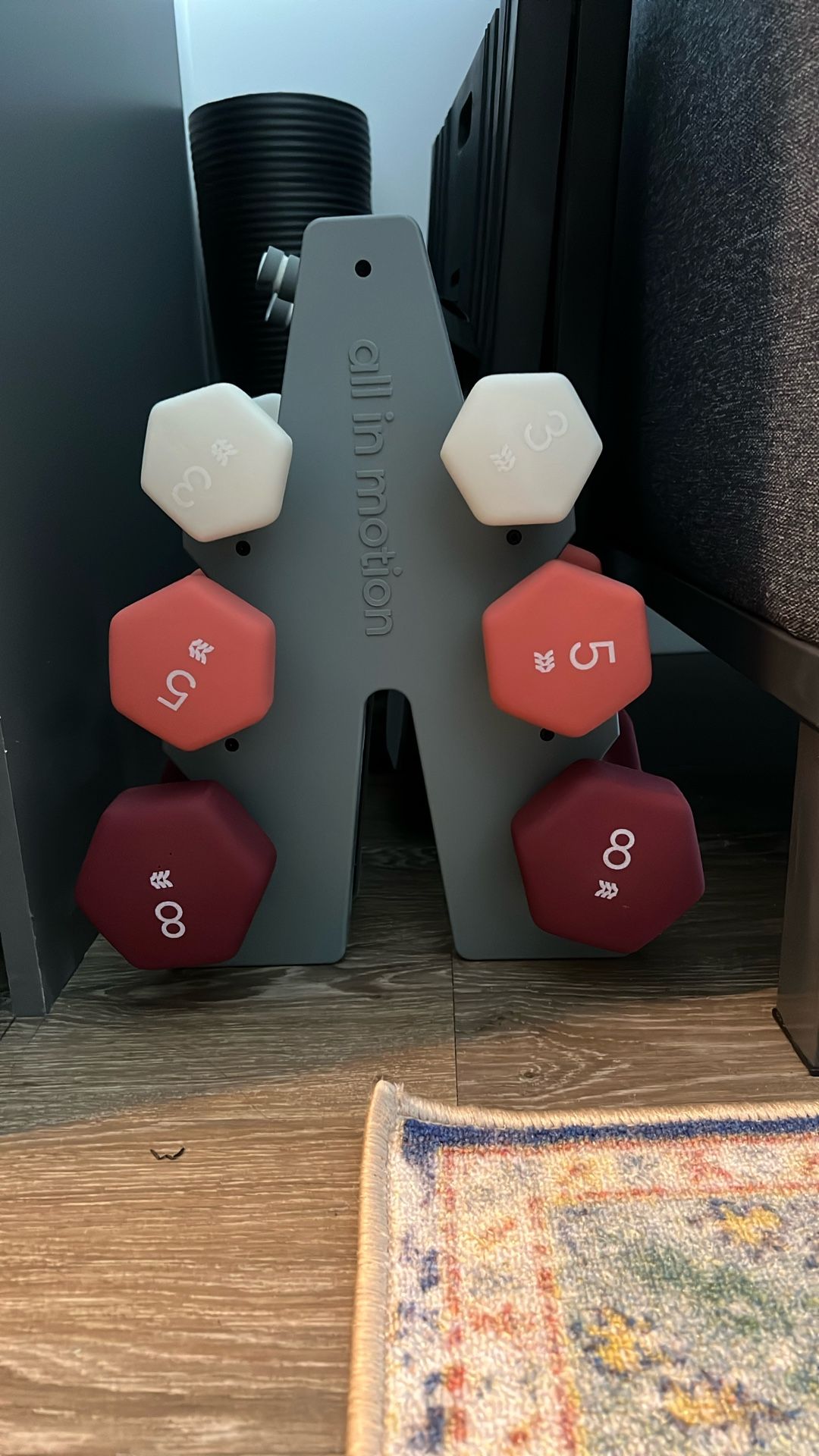 Dumbbell Set