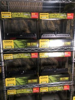 Exo Terra Mini Wide Terrestrial Tarantula Enclosure