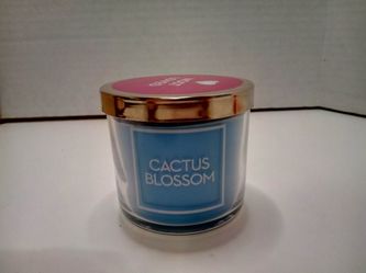 Bath and body works 4 oz candle