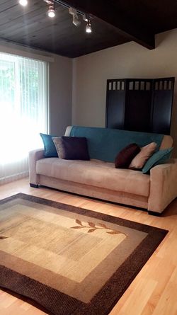 Full Size Futon Couch with Storage