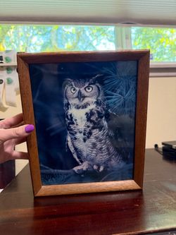 Vintage Owl Music Box 11 Inches Tall - Music Box Does Not Work - Wall Decor Pic