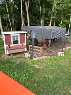 Chicken coop and runs
