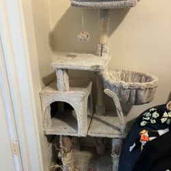 cat scratch tower