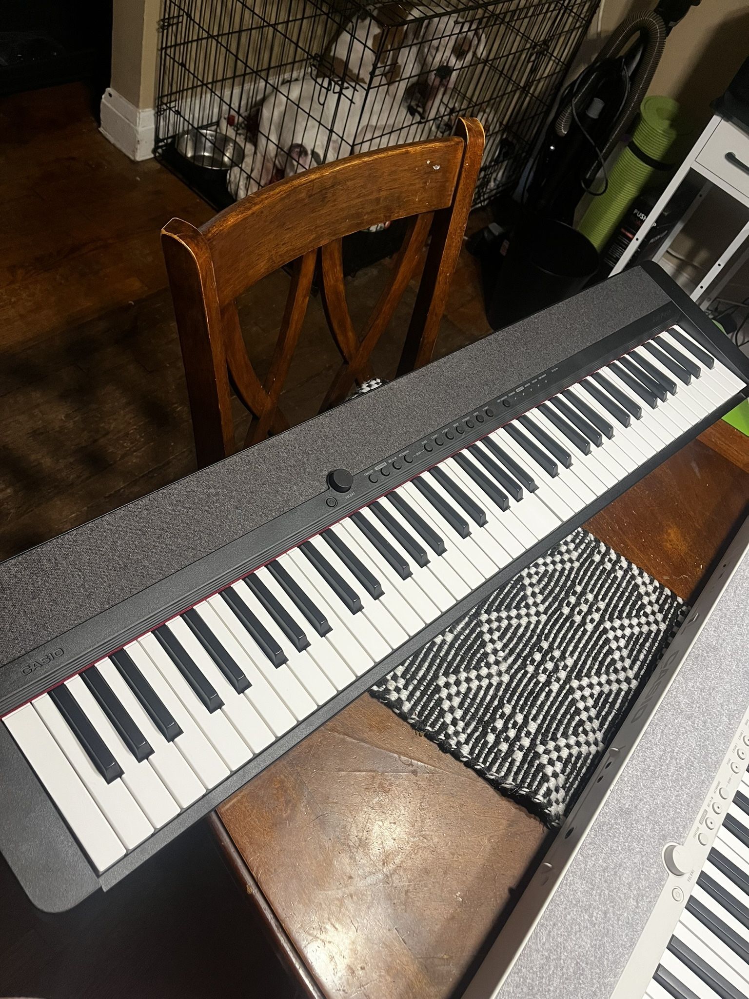 Casio Keyboard 