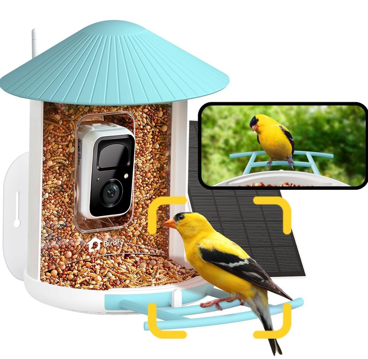 Bird Camera with Solar Panel - D085
