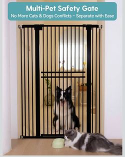 Multy-pet safety door