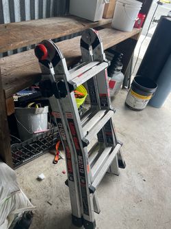 Collapsible ladder