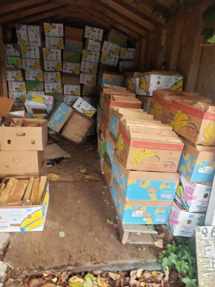 Firewood Bundles In A Banana Box Double A Store Bundle Clean And Ready To Burn 🔥