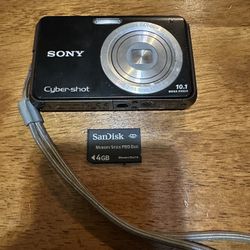 Sony Cyber-shot DSC-W180 10.1MP Digital Camera 