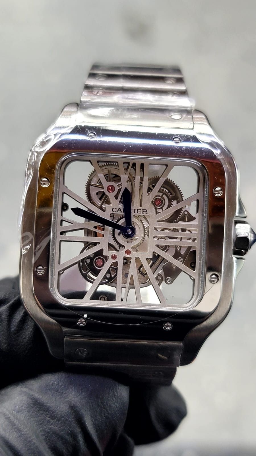 Plain Skeleton Watch