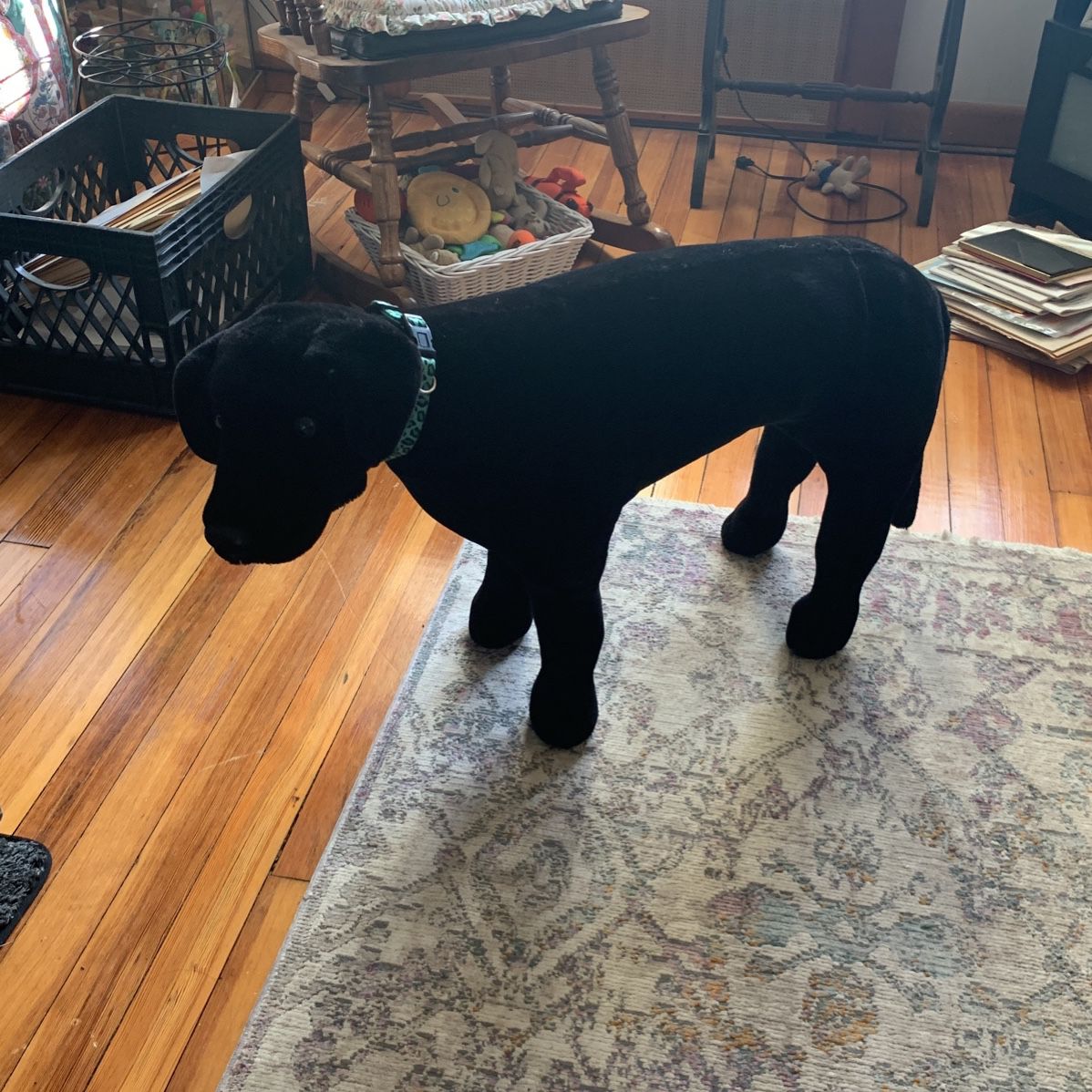 Black Lap Giant Plush Stuffed Animal 