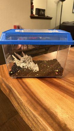 Fish Tank