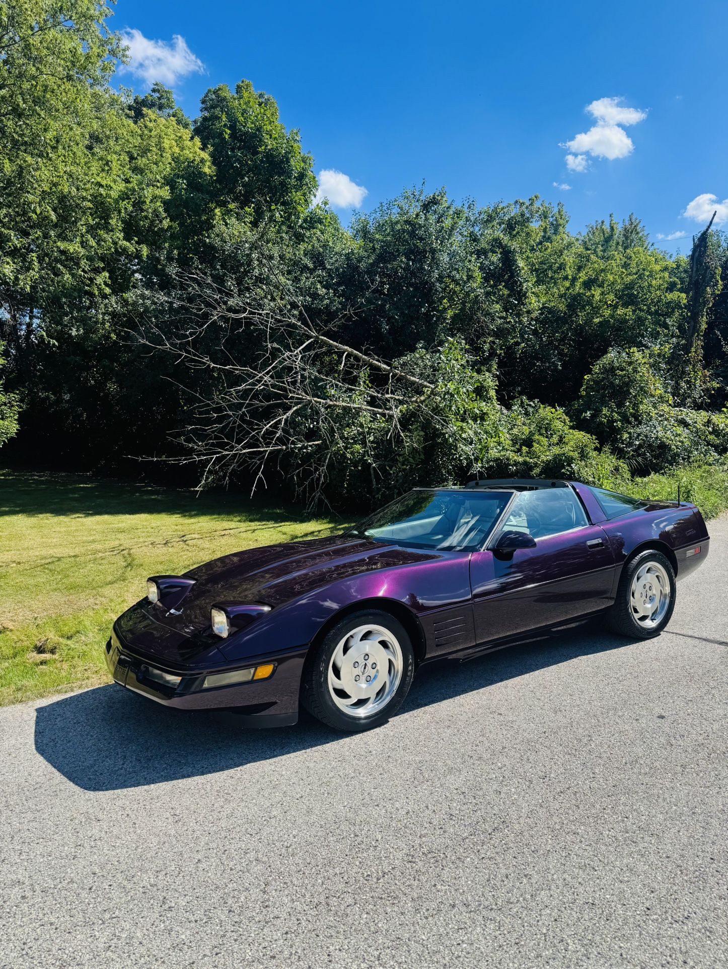 1993 Chevrolet Corvette