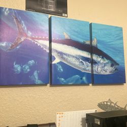 Blue Fin Tuna Photo.  50in Wide      24in Tall 