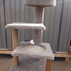 Cat Tree
