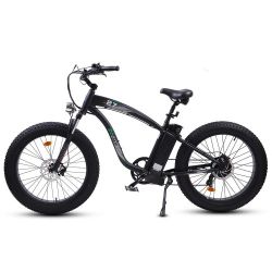 Ecotric Hammer Electric Fat Tire Bike