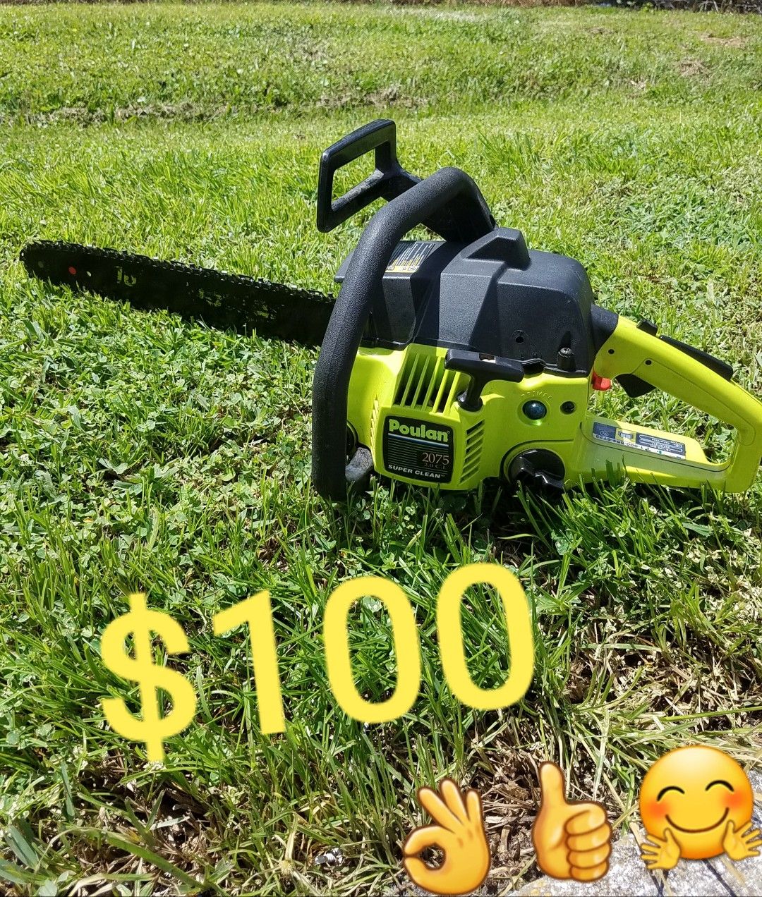 Gas Chainsaw