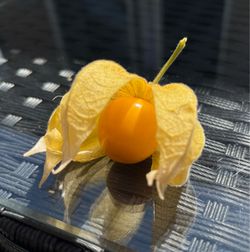 Goldenberry plants for sale