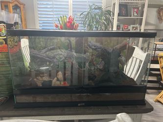 🦎Leopard Gecko + Complete 40-Gallon Setup