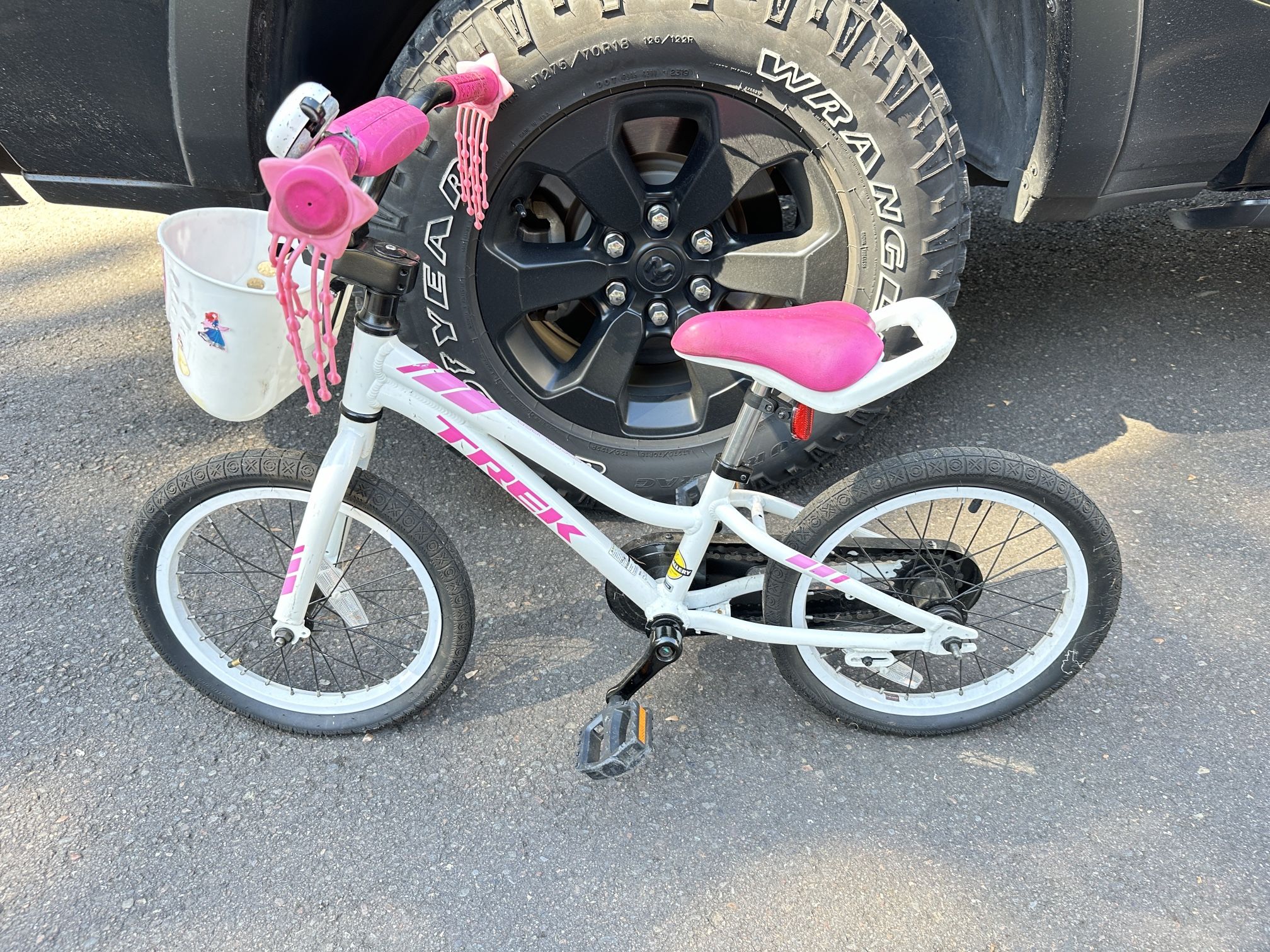 Girls Trek Starter Bike