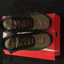 Nike Air Max Plus OG Scarab  Size 10.5 M